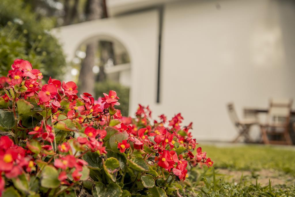 Beautiful Holiday Villa In Sani Sani  Exterior foto